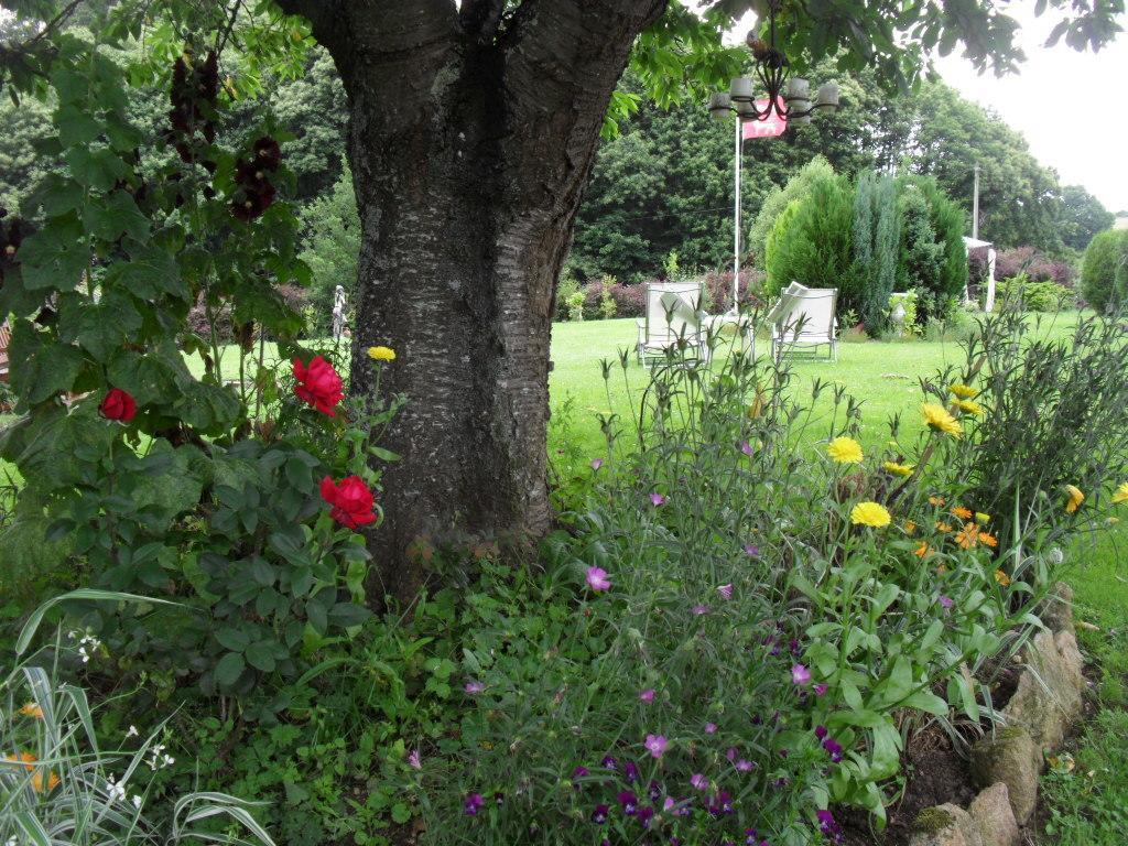 La Chevallerie B&B Isigny-le-Buat Extérieur photo