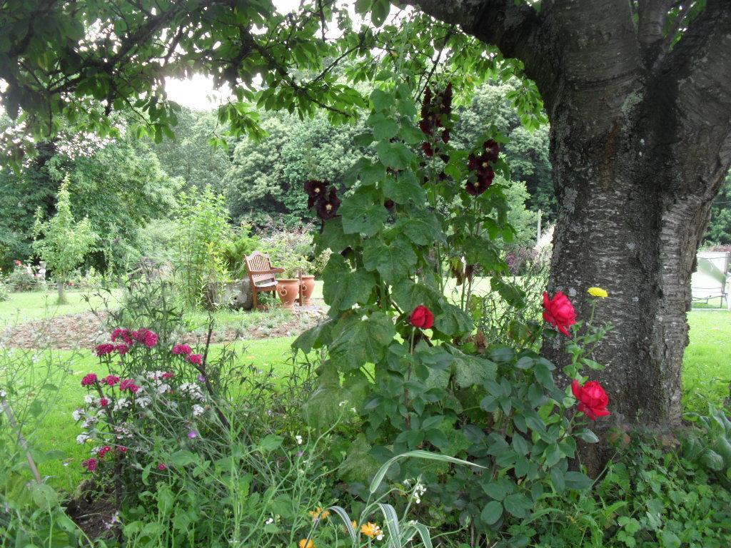 La Chevallerie B&B Isigny-le-Buat Extérieur photo