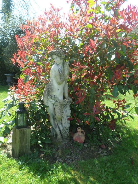 La Chevallerie B&B Isigny-le-Buat Extérieur photo
